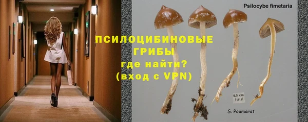твердый Абаза