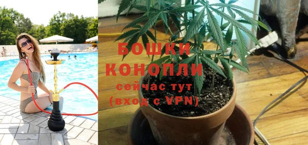 твердый Абаза