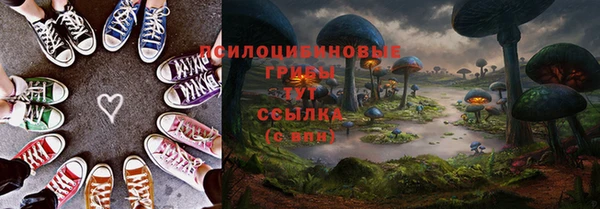 твердый Абаза