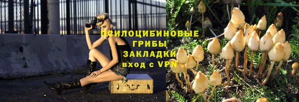 прущие крисы Абинск