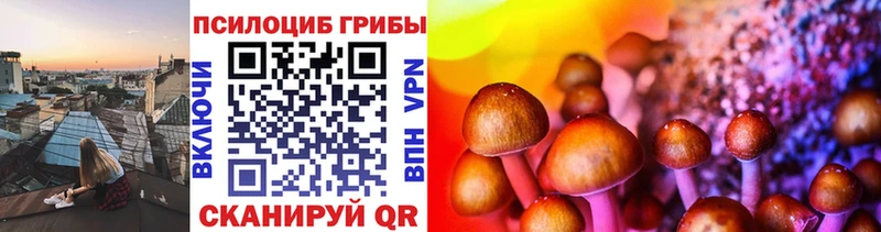 Галлюциногенные грибы мицелий Катав-Ивановск