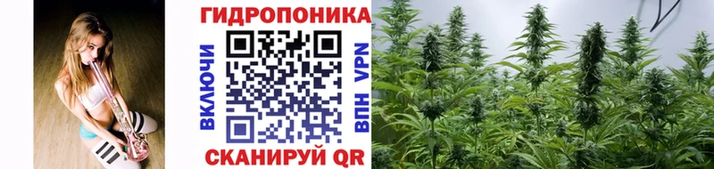Конопля сатива  дарнет шоп  Катав-Ивановск 